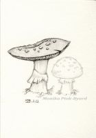 Shrooms